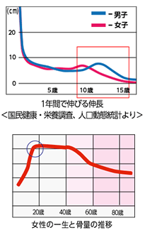 身長グラフ