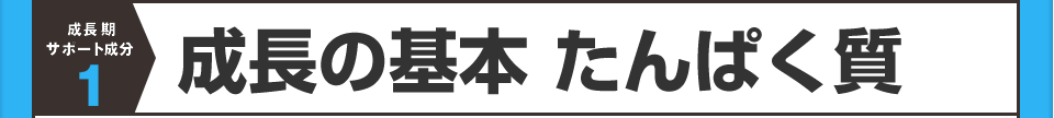 成長の基本たんぱく質