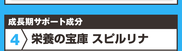 栄養の宝庫スピルリナ