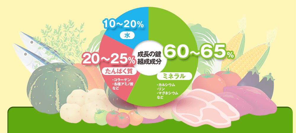 成長の鍵組成成分