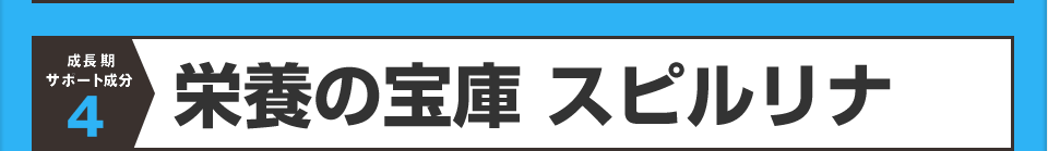 栄養の宝庫スピルリナ