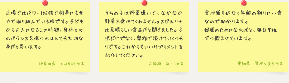 お客様の声をご紹介します。