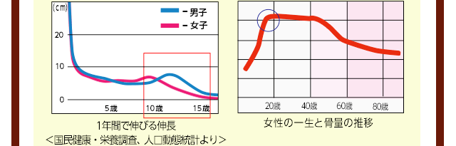 身長グラフ