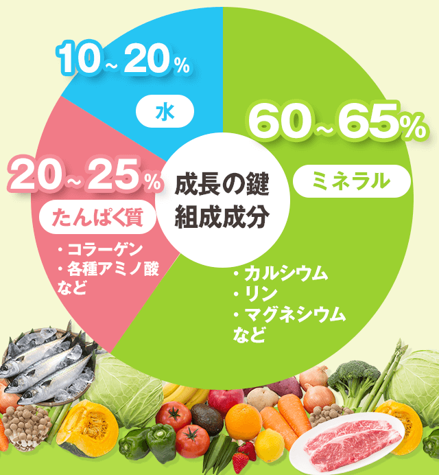 成長の鍵組成成分