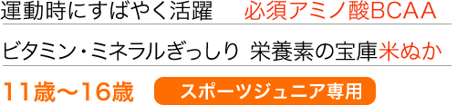 運動時にすばやく活躍　必須アミノ酸BCAA ビタミン・ミネラルぎっしり 栄養素の宝庫米ぬか配合 11歳～16歳 スポーツジュニア専用