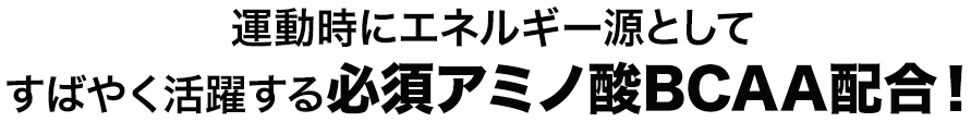 運動時にエネルギー源としてすばやく活躍する必須アミノ酸BCAA配合！