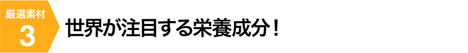 世界が注目する栄養成分！